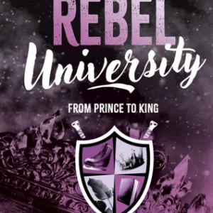 Rebel univesity 2
