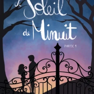 Le soleil de minuit 1