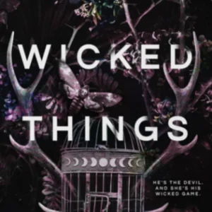 Lovely Wicked Things